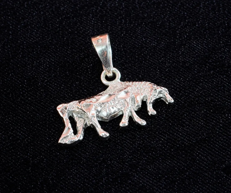 Dije Toro doble vista