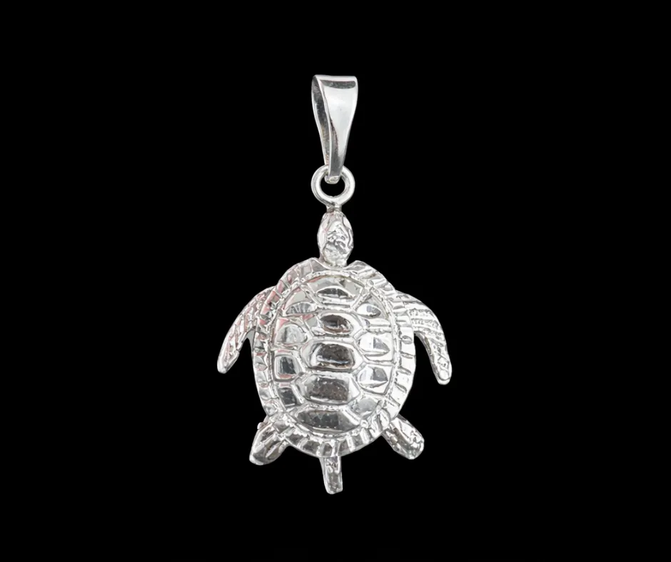 [DIJ-827] Dije Tortuga móvil