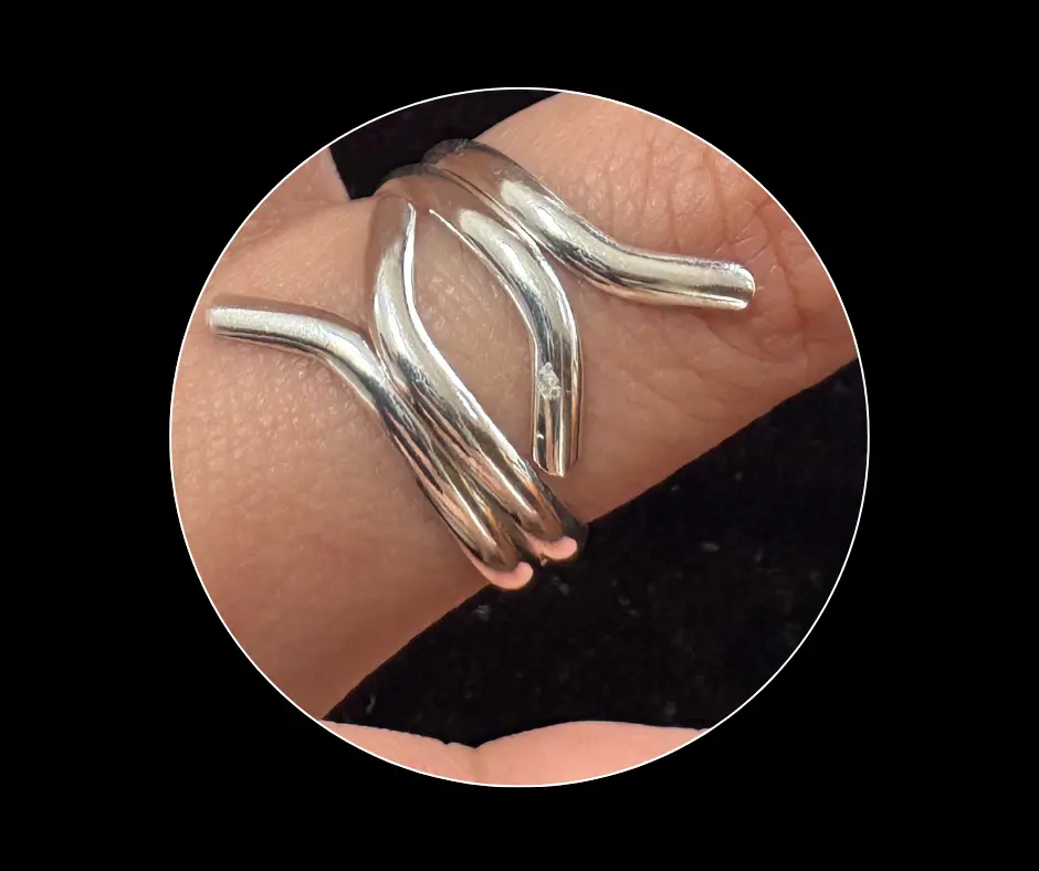Anillo_liso_ramas