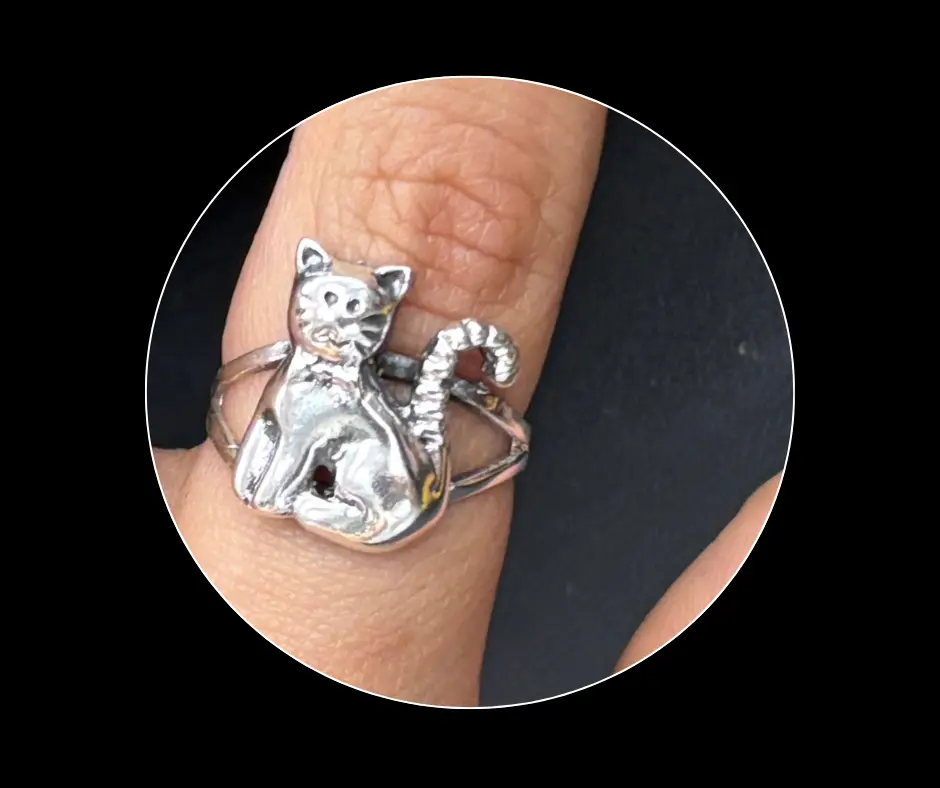 [ANI-185] Anillo_liso_gato