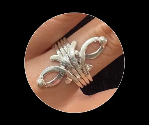 Anillo_Llamas_punto norte & punto sur